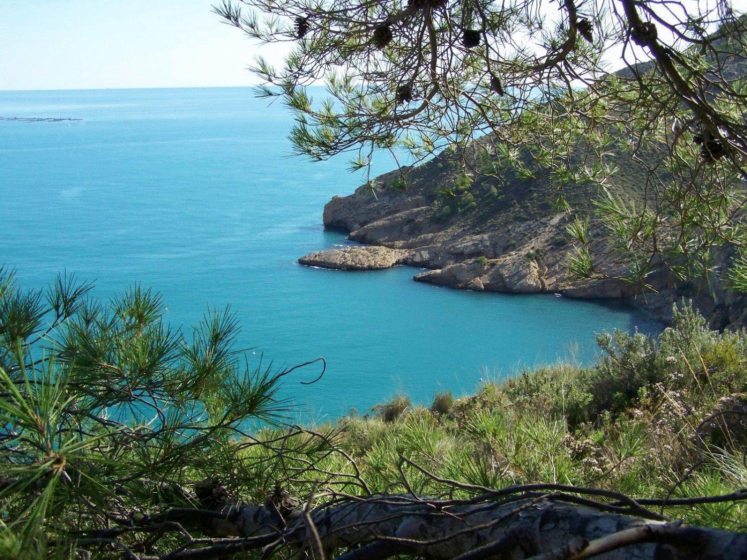 Apartamentos Mundaka Albir El Albir Luaran gambar