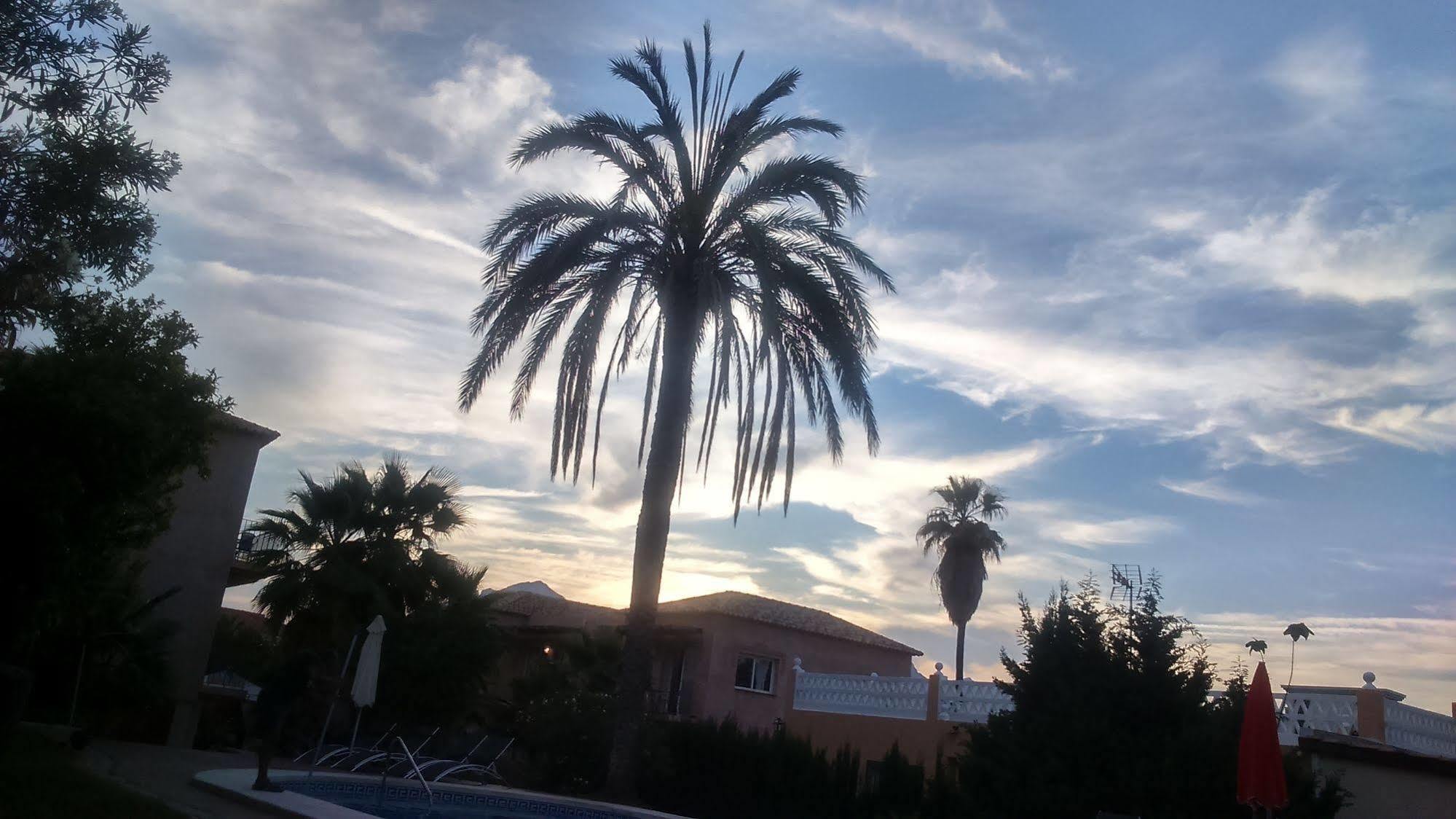 Apartamentos Mundaka Albir El Albir Luaran gambar
