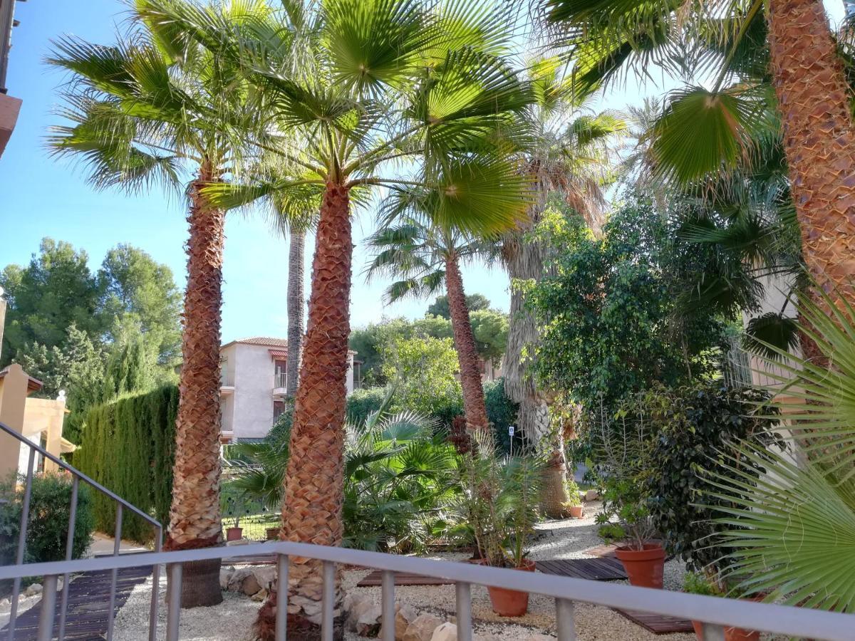Apartamentos Mundaka Albir El Albir Bilik gambar